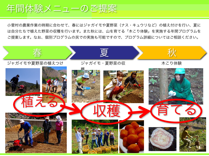 年間プラン