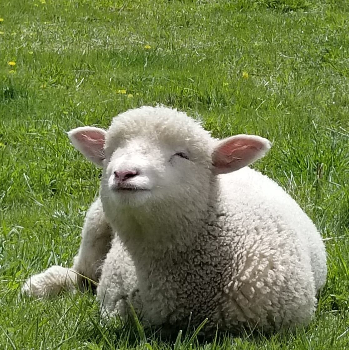 たきち1
